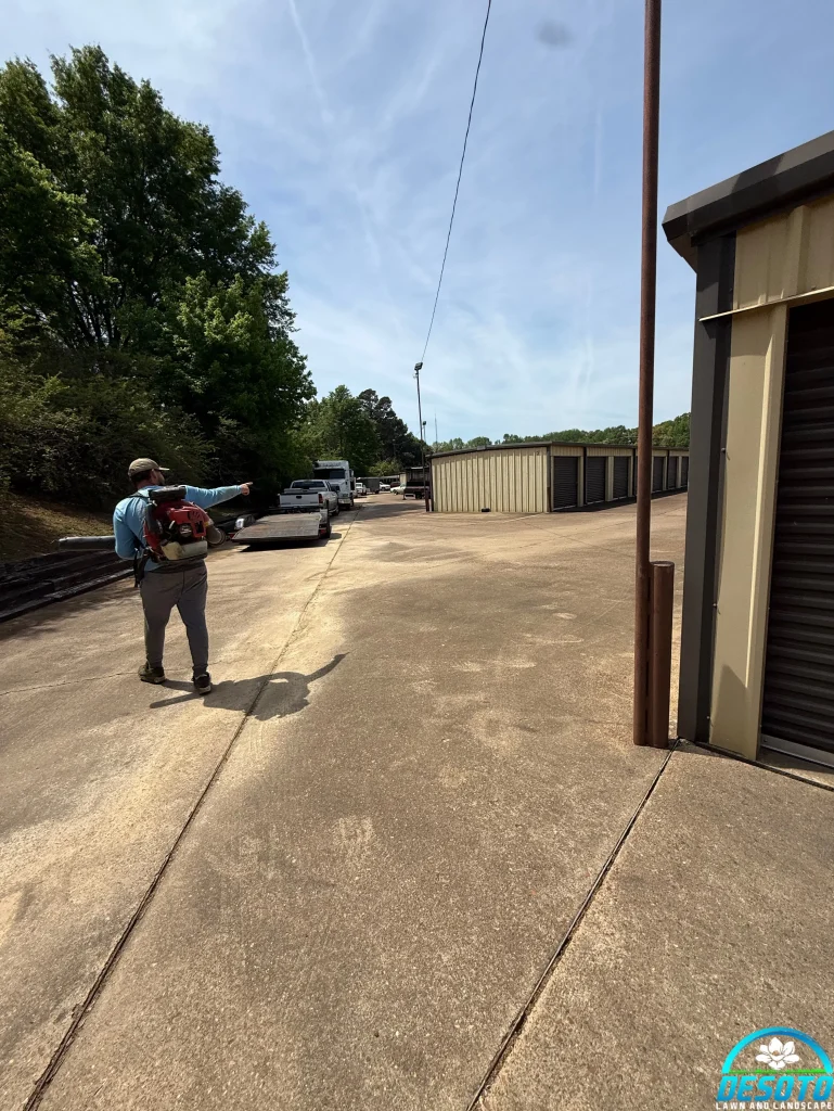Desoto Property Cleanups